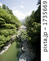 かずら橋遠景