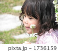 白爪草で遊ぶ女の子１