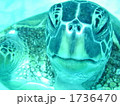 1736470