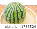 夏のスイカ。