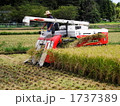 稲刈りも機械化され大型化しています