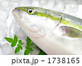 はまち