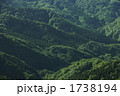 白神山地