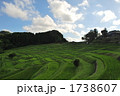 棚田の風景