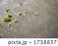 干ばつ