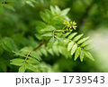 1739543