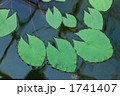 1741407