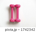 ピンクのダンベル２本（ギリシャ数字の「II」）