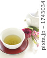 緑茶