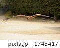 向かってくる
