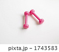 ピンクのダンベル２本（大なり）