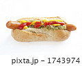 ホットドック