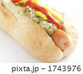 ホットドック