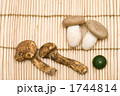 ホンシメジと松茸