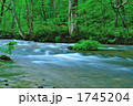 奥入瀬の流れ
