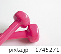 ピンクのダンベル２本（X字置き）