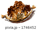 舞茸1098pix