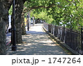 テムズ川沿いの歩道　木漏れ日　