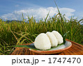 おにぎりと稲01