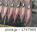 秋刀魚の干物