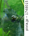 1748015