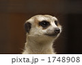 1748908