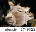 1749022