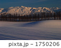 夕方の十勝岳連峰と丘