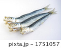 干物