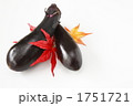 茄子