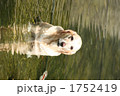 こことても気持ちいいよ~