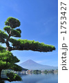 松と富士山-7380