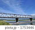 富士川鉄橋と新幹線-15083