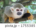 1755385
