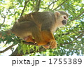 1755389