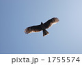1755574