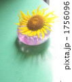 向日葵２０１０ｂ