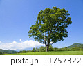 開田高原の夏