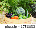 たらいで冷やした真夏の野菜ともみじ　２