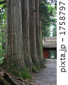 戸隠神社奥社杉並木