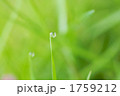 1759212
