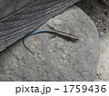 1759436