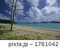 慶良間諸島　座間味島