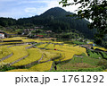 井仁の棚田