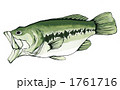THE FISH 01