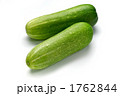 加賀太きゅうり