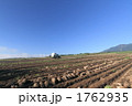 農場 1762935