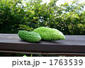ニガウリ