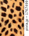 1767499