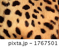 1767501